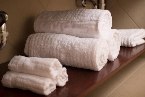 Bluemont Hotel image 3