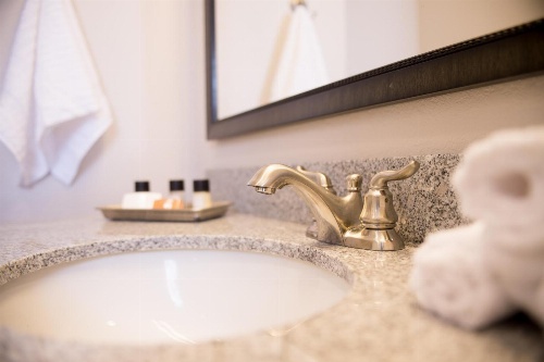 Bluemont Hotel image 4